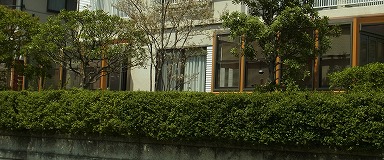 全体のコピー