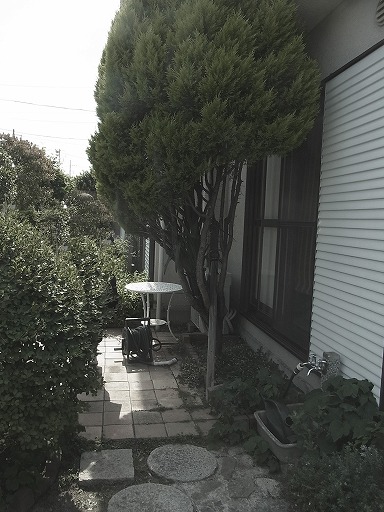 BEFORE