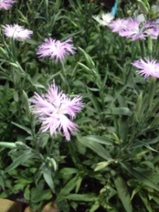 20110907212652.jpg