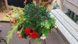 寄せ植え3