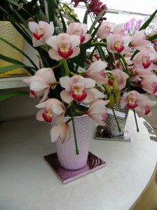 DSCF6143