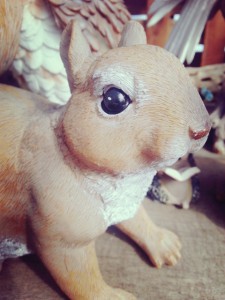 2015-02-19-10-15-08_deco