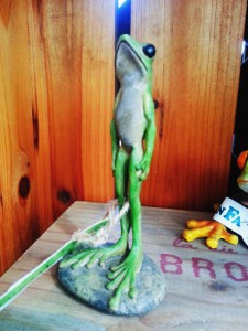 2015-02-19-10-16-32_deco