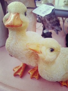 2015-02-19-10-17-45_deco