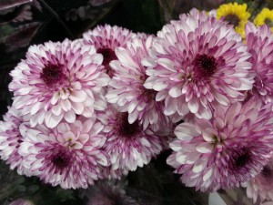 20150315_180211