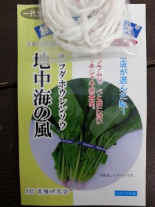 20150329_172929