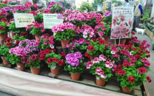 sIMG_20150330_144308
