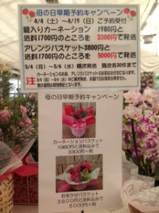 早期予約キャンペーン　ポップ