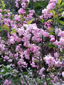 20150406_170056