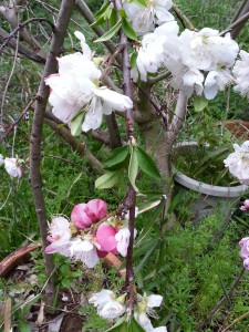 20150406_170142