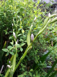 20150406_170421