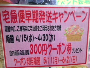 早期発送キャンペーン　ポップ2015春