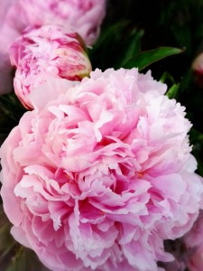 2015-05-17-18-34-20_deco