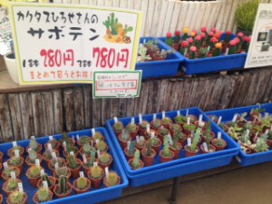 2カクタス広瀬さん買場