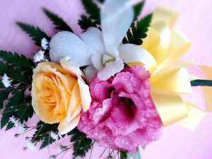 LINEcamera_share_2015-07-26-16-20-37