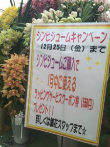 シンビ　キャンペーン2015冬