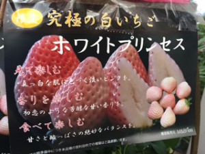 ホワイトプリンセス　ポップ