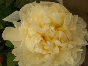 20160515_160138
