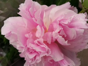20160515_160208