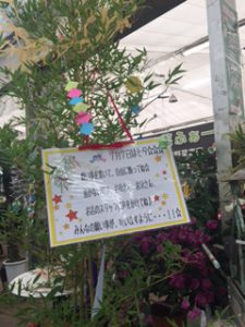 七夕　イベント
