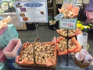 夏植え球根買場2016②