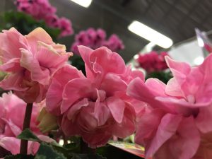 img_3012
