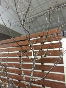 20170107_171702
