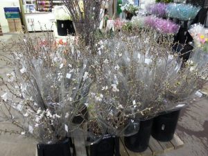 20170107_171744