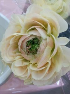 20170129_163339