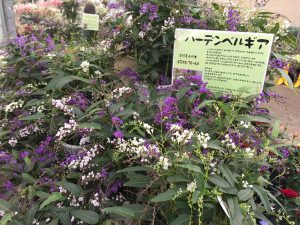 img_3122.jpg