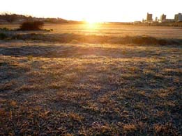 20100103a.jpg