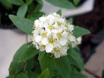 20100116.jpg