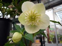 20100116a.jpg