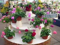 20100117a.jpg
