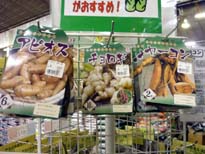 20100307c.jpg