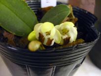 20100307d.jpg