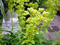 20100316c.jpg