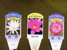20100421h.jpg