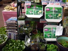 20100517a.jpg