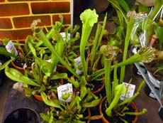 20100518.jpg