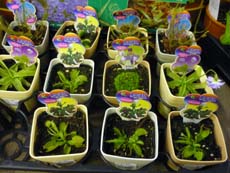 20100518a.jpg