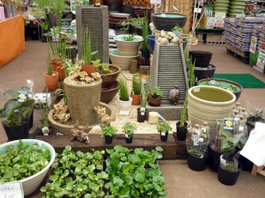 20100525.jpg