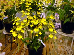 20100618b.jpg