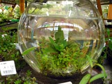 20100621.jpg