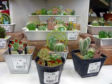 20100634.jpg
