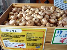 20100804.jpg