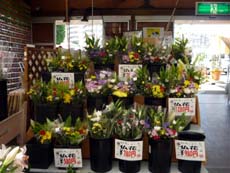 20100806.jpg