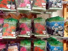 20100806c.jpg