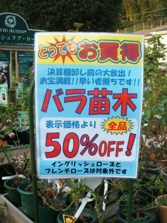 バラ半額.JPG
