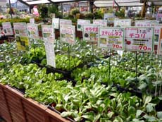 20100824.jpg